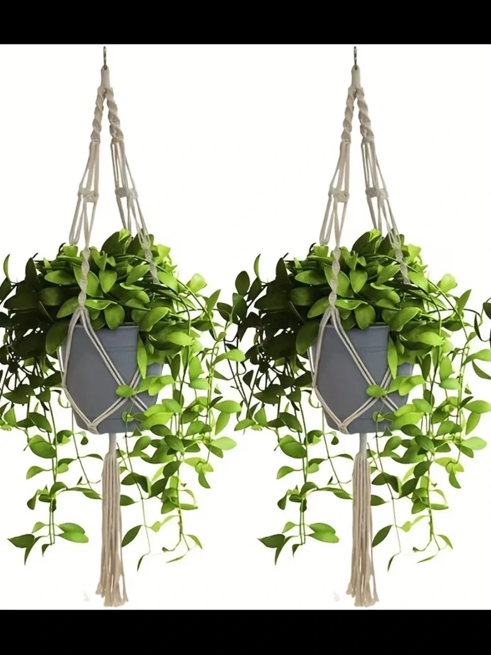 2 Hanging Macramé Plant Hangers